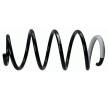 SACHS Helezon yay — Mercedes-Benz Vito (4)