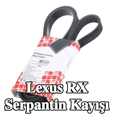 FEBI BILSTEIN Serpantin kayışı 1560mm, Number of ribs: 6 — 2016 Lexus Rx