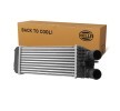 HELLA Intercooler — Citroën C3 (2)