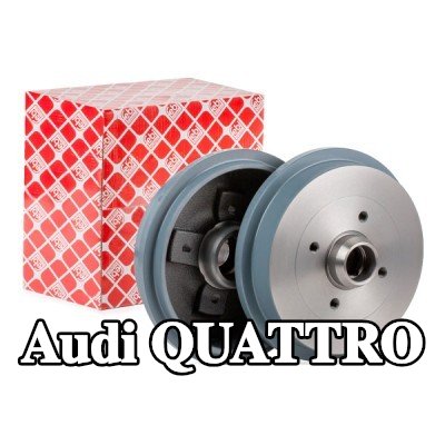 FEBI BILSTEIN أسطوانة الفرامل للمحور الخلفي, بدون محمل عجلة — Audi Quattro