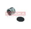 KAMOKA Alternatör debriyaj kasnağı — Mitsubishi L200 (3)
