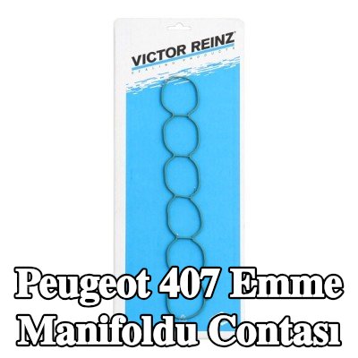 REINZ Emme manifoldu contası — Peugeot 407
