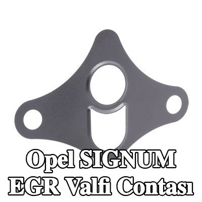 ELRING EGR valfi contası — 2003 Opel Signum