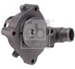 FEBI BILSTEIN Vidalı su pompası, contalı/sızdırmaz — Ford Escort (3)