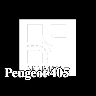 MAHLE صامولة الدفع، العمود المرفقي — Peugeot 405