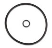 RIDEX Filtre kiti — 2001 Ford Galaxy (6)