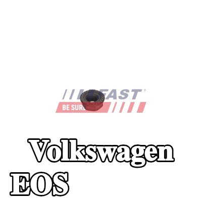 FAST برغي مشبك الحاقن — Volkswagen Eos
