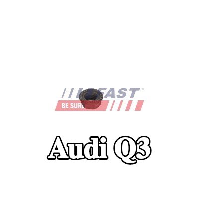 FAST برغي مشبك الحاقن — 2012 Audi Q3