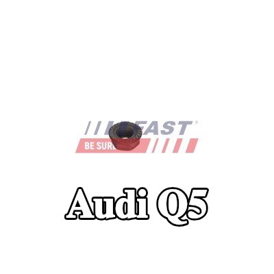 FAST برغي مشبك الحاقن — 2012 Audi Q5
