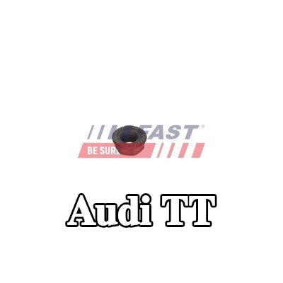 FAST برغي مشبك الحاقن — 2012 Audi Tt