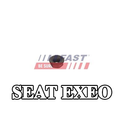 FAST برغي مشبك الحاقن — SEAT Exeo