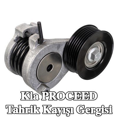 FEBI BILSTEIN Tahrik kayışı gergisi — 2016 Kia Proceed