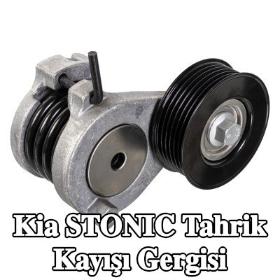 FEBI BILSTEIN Tahrik kayışı gergisi — 2017 Kia Stonic