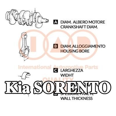 IAP QUALITY PARTS مجموعة محامل قضيب التوصيل — 2015 Kia Sorento