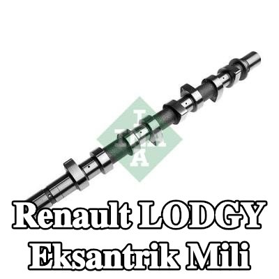 INA Eksantrik Mili — Renault Lodgy