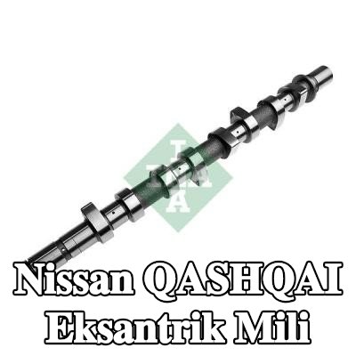INA Eksantrik Mili — 2006 Nissan Qashqai