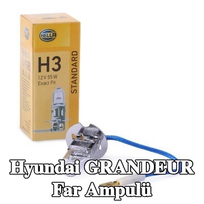 HELLA Far ampulü — 2011 Hyundai Grandeur