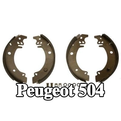 TRW مجموعة أحذية الفرامل — Peugeot 504