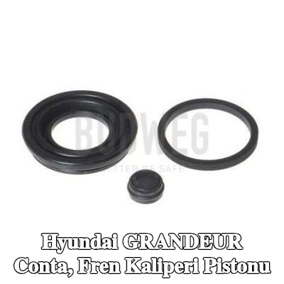 BUDWEG CALIPER Conta, fren kaliperi pistonu — 2011 Hyundai Grandeur