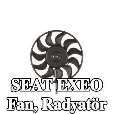 MAHLE Fan, radyatör 300mm, radyatör fanı kapağı olmadan — SEAT Exeo