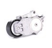 FEBI BILSTEIN Tahrik kayışı gergisi — Ford B-max (3)