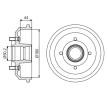 BOSCH Arka aks fren kampanası, 216mm, tekerlek yatağı ile — Ford Puma (3)