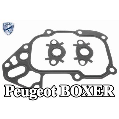 VEMO مجموعة حشيات، مبرد الزيت — Peugeot Boxer