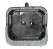 HELLA Ön cam yıkama pompası 12V — Nissan Terrano (2)
