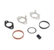 ELRING Conta seti, EGR sistemi — Chevrolet Trax (4)