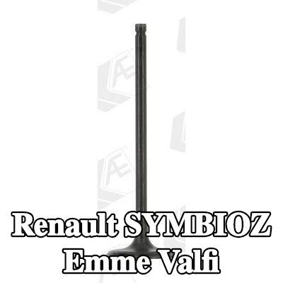 AE Emme valfi — Renault Symbioz