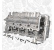 ET ENGINETEAM Valf yayları olmayan silindir kafası, valfsız — DS Ds5 (1)