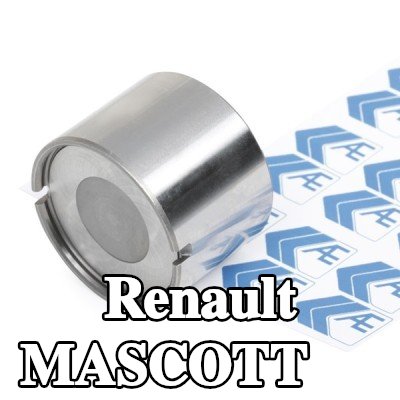 AE صمام — Renault Mascott