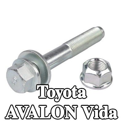TEDGUM Vida — Toyota Avalon