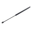 FEBI BILSTEIN Bagaj kapağı amortisörü (Her iki taraf), 557mm — 2000 Hyundai Santa Fe (1)