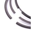 MAHLE Piston Segman Kiti — Citroën C3 (3)