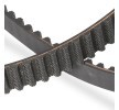 RIDEX PLUS Triger Kayışı Diş Sayısı: 162, 1296mm — 1998 Chevrolet Astra (4)