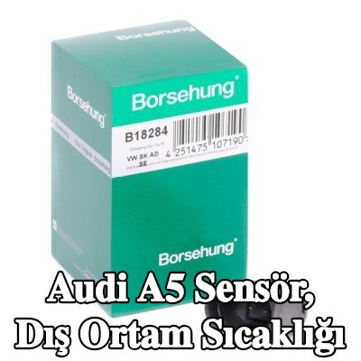 Borsehung Sensör, dış ortam sıcaklığı — 2011 Audi A5