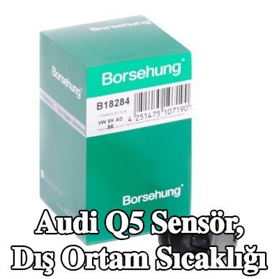 Borsehung Sensör, dış ortam sıcaklığı — 2012 Audi Q5