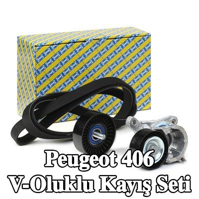 SNR V-Oluklu Kayış Seti — Peugeot 406