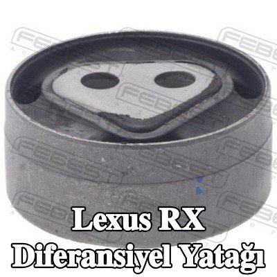 FEBEST Diferansiyel yatağı Arka Aks Sol — 2002 Lexus Rx