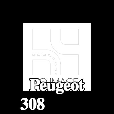 CITROEN/PEUGEOT مفصلة الباب الأمامية اليسرى — Peugeot 308