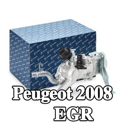 PIERBURG مبرد EGR بدون مستشعر — Peugeot 2008