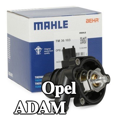 MAHLE ثرموستات 103°C, مع حشية/مانع تسرب — Opel Adam