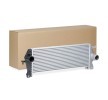 RIDEX Intercooler — Land Rover Defender (1)