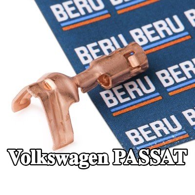BERU غلاف القابس، نظام الإشعال — Volkswagen Passat