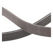 RIDEX PLUS Serpantin kayışı 2063mm, Number of ribs: 6 — 2012 Chevrolet Camaro (4)