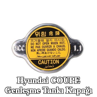 METZGER Radyatör genleşme tankı kapağı — Hyundai Coupe