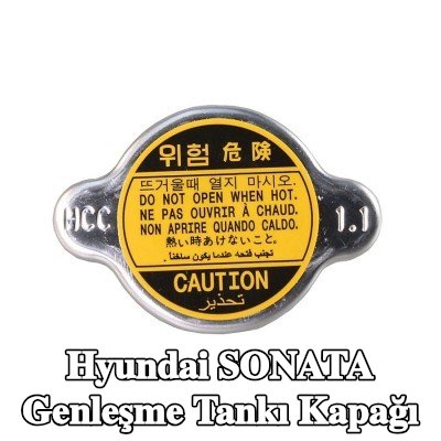 METZGER Radyatör genleşme tankı kapağı — Hyundai Sonata