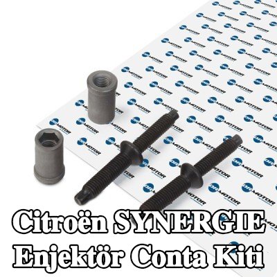DR.MOTOR AUTOMOTIVE Enjektör conta kiti — Citroën Synergie