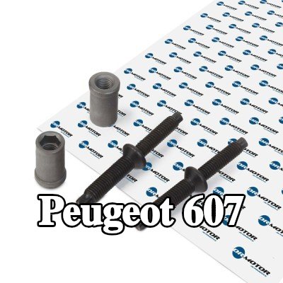 DR.MOTOR AUTOMOTIVE طقم مانع تسرب الحاقن — Peugeot 607